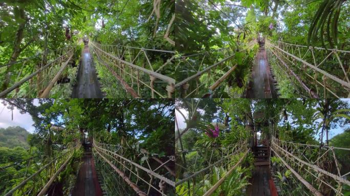 泰国苏梅岛丛林中的小索桥