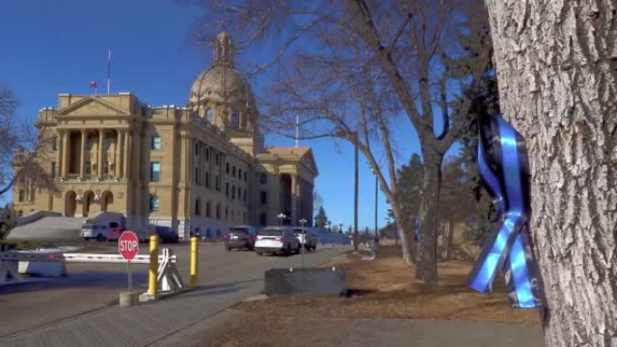 带有艾伯塔省立法机关大楼，艾伯塔省立法议会和艾伯塔省执行委员会的蓝色和黑色丝带也称为壁架。