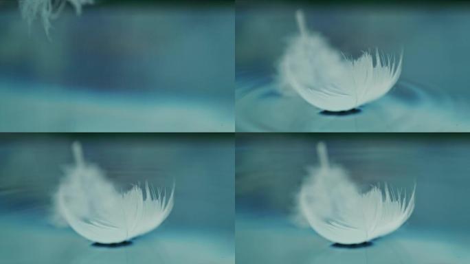 超级慢动作白色羽毛落在蓝色水面上