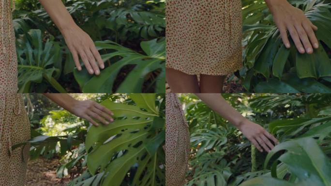 自然女人手触摸森林中的植物探索花园4k郁郁葱葱的自然美景
