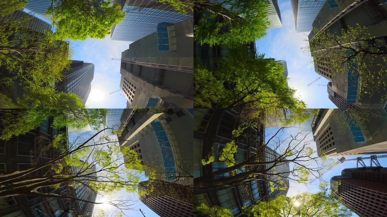 仰望并穿过高楼大厦的商业区，两旁是新鲜的绿色行道树