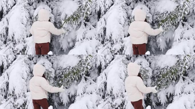 一个年轻的女孩从森林中的云杉树枝上甩掉了雪。