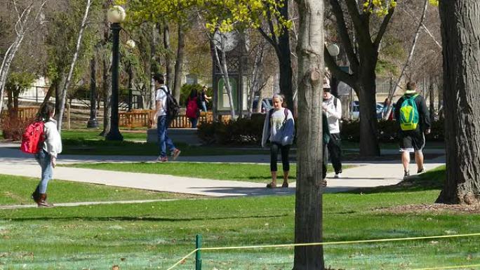 春日凉爽的大学生在繁忙的校园里走来走去