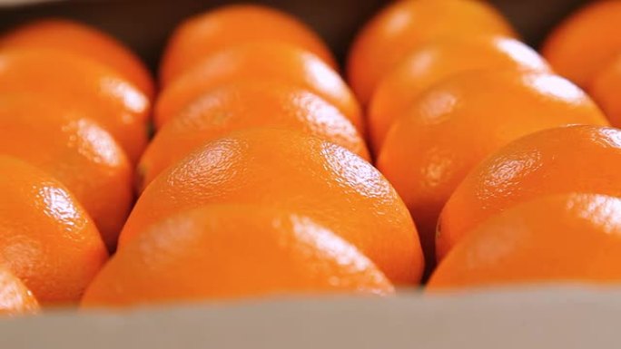 多莉橙子水果