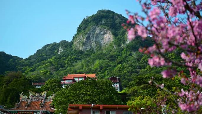 在春天参观寺庙和青山。它使人精神振奋。