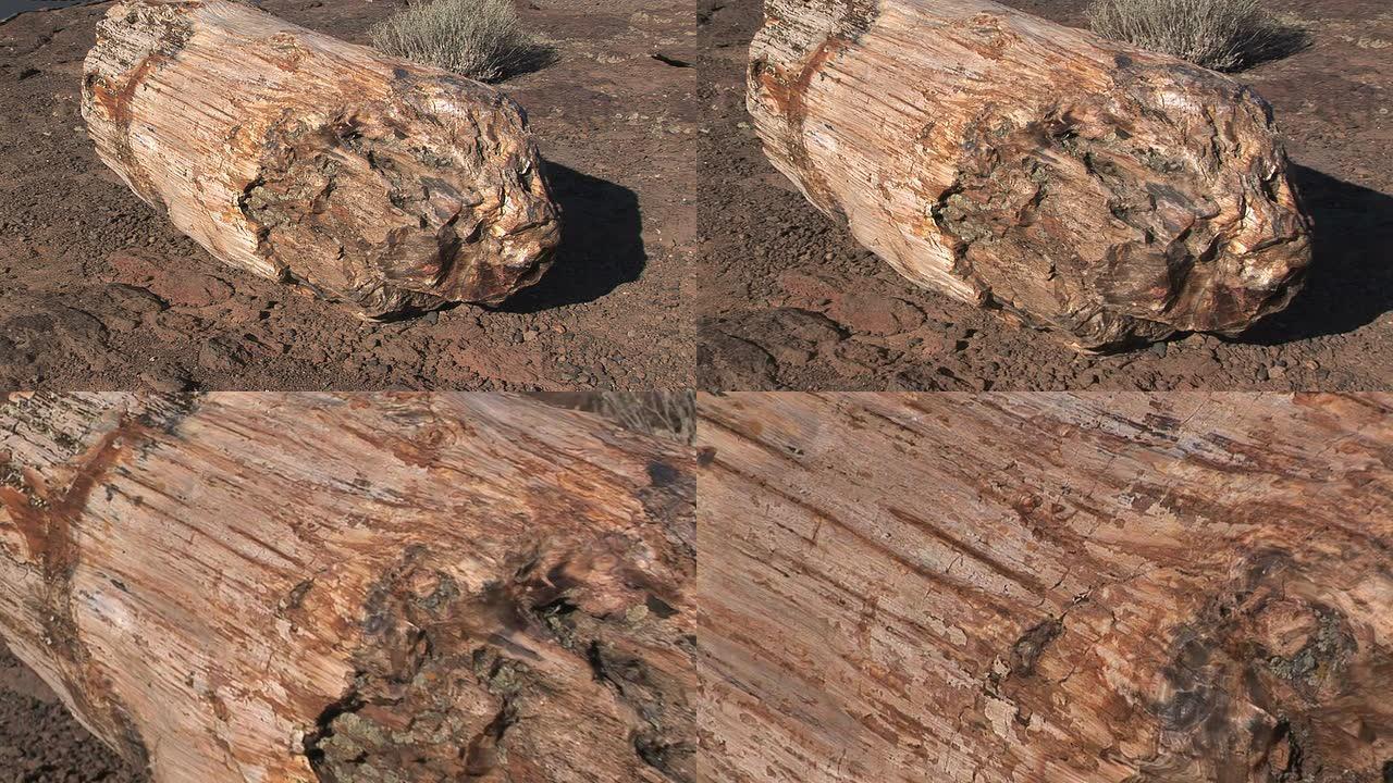 石化木材