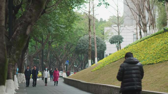 中山四路 重庆最美街道 重庆景点 4k