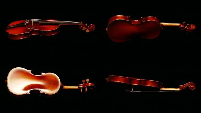 小提琴循环小提琴