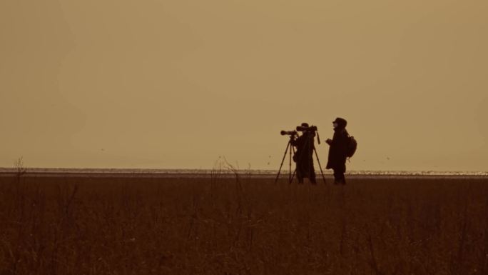 4K辽河入海口拍鸟浪的摄影师