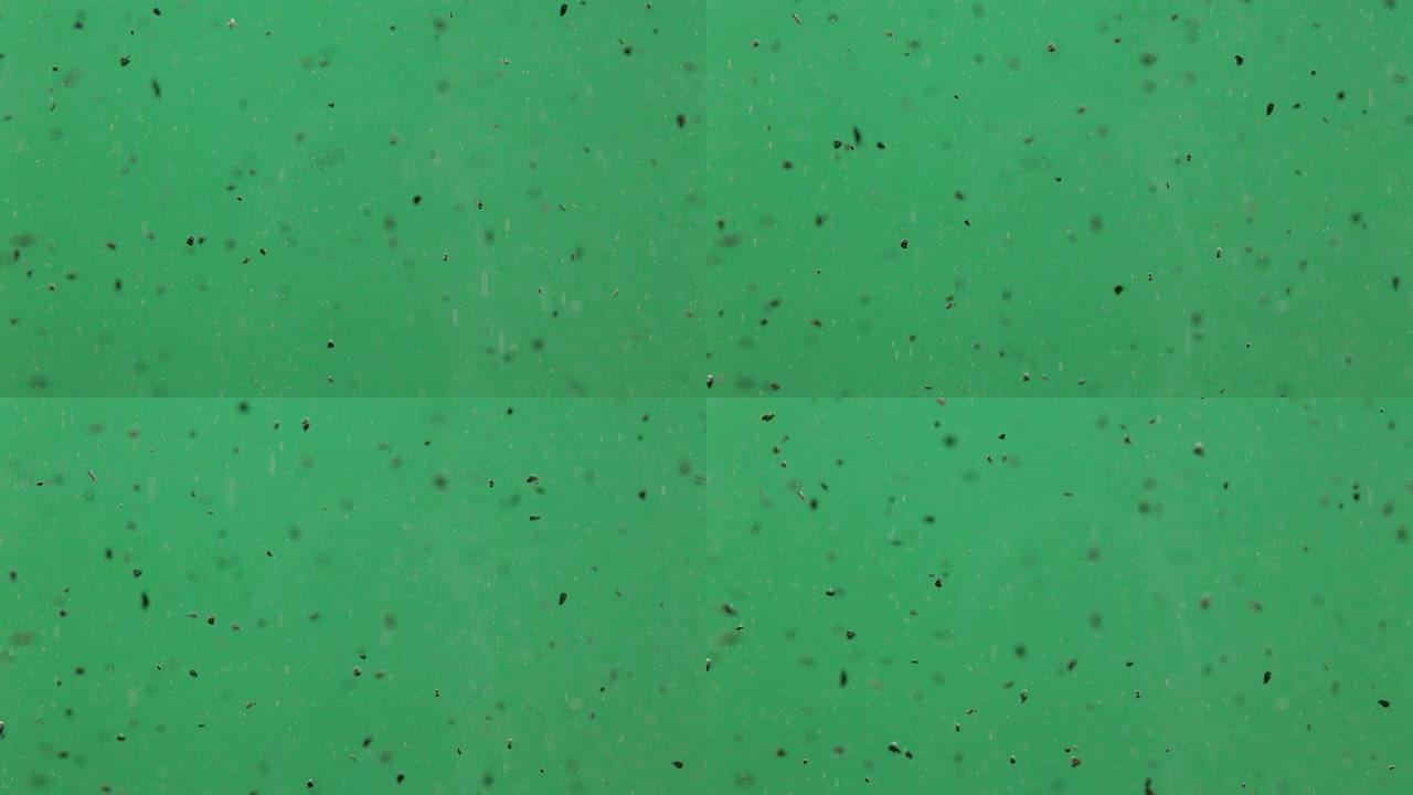 水中活性炭粉末 (绿色背景)