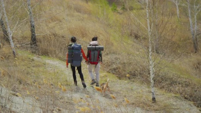 两名背囊的女游客与小猎犬一起沿着小路行走，秋天