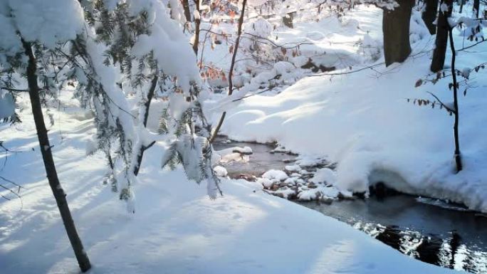 白色的雪飘在森林里，美丽的冬天。