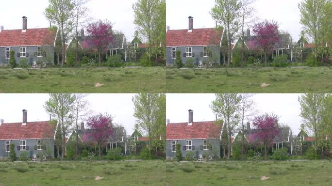荷兰的旧式定居点