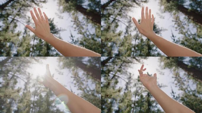 手触摸阳光伸向阳光在手指间照耀森林中的阳光