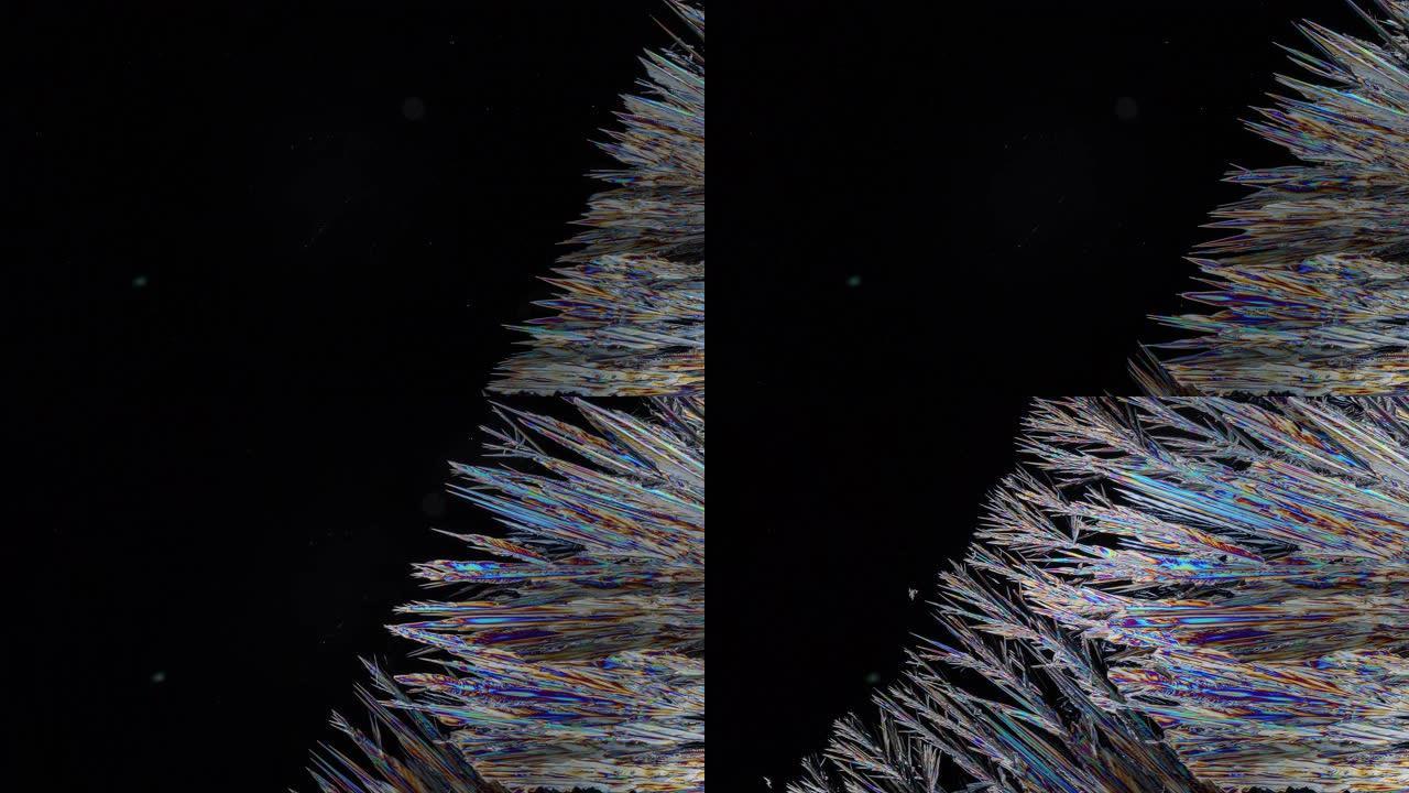 偏光显微镜下碳酸盐的结晶形成大量的尖峰