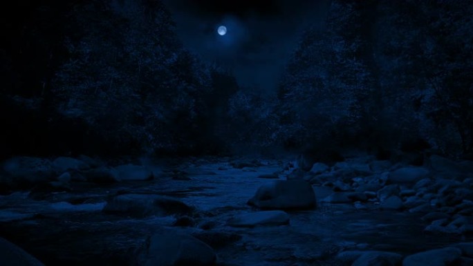 在月光下穿过树林的河流