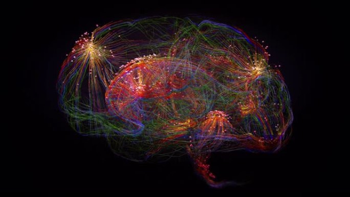 人脑最强大脑部元宇宙头脑数据神经