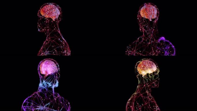 人脑神经系统医院宣传科普展示素材神经电流