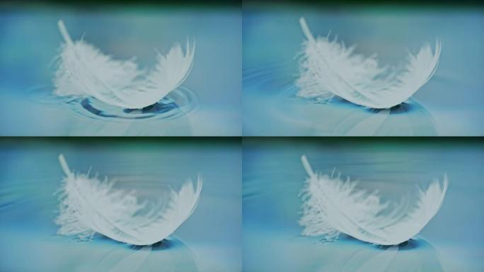 超级慢动作白色羽毛落在蓝色表面上