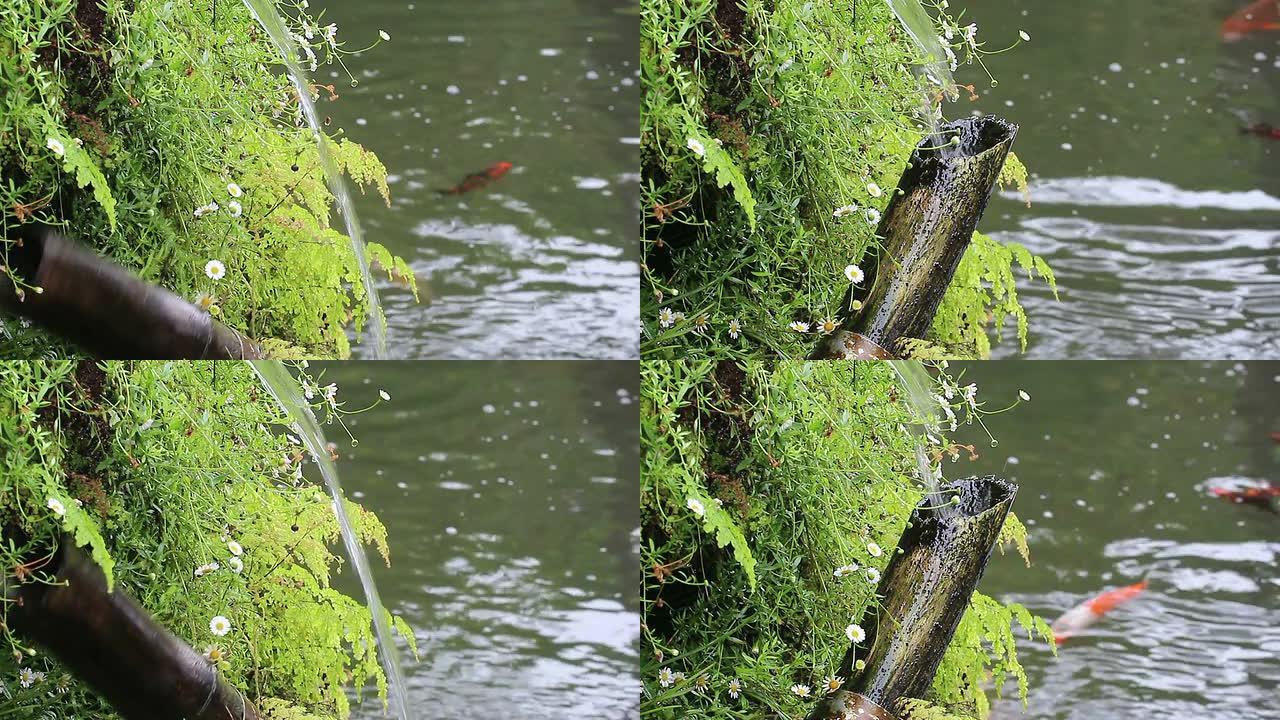 日本花园中的竹筒和流水