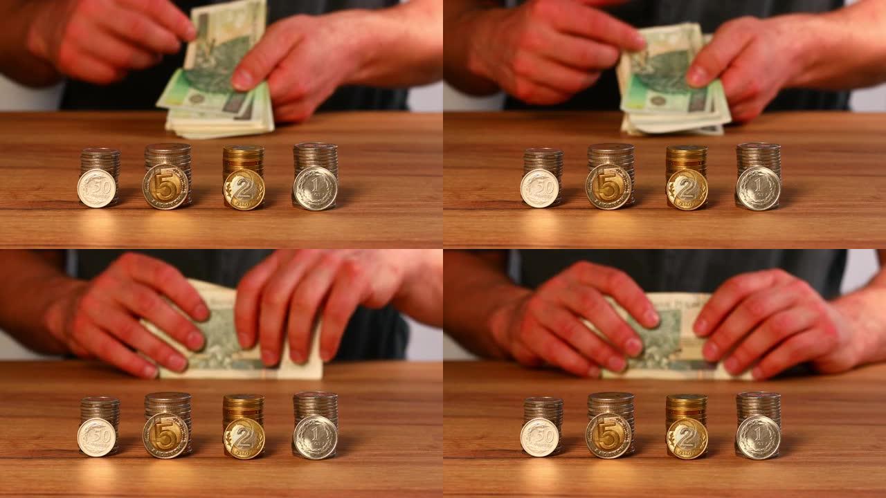一堆堆波兰硬币站着，男人从后面数钞，概念，波兰货币，商业和金融