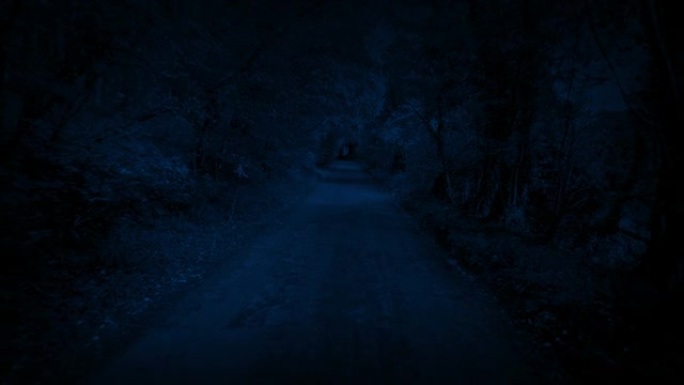 晚上在森林路上散步