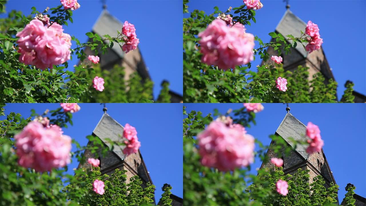玫瑰和教堂尖顶