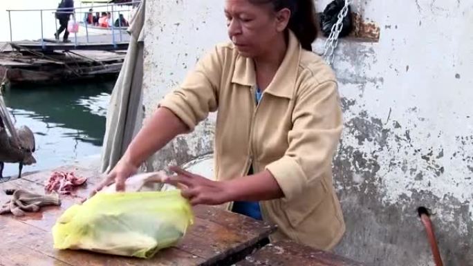 墨西哥妇女清洗鱼并喂养pellican