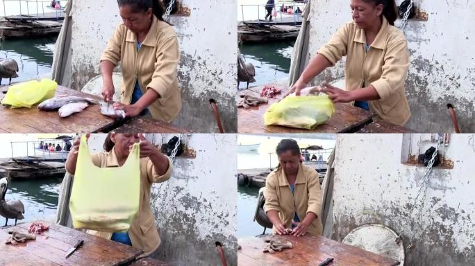 墨西哥妇女清洗鱼并喂养pellican
