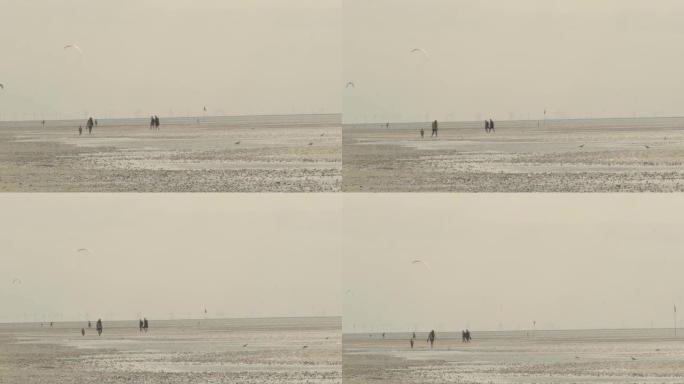 瓦特沙丘。瓦特海上的人和海鸥。沿着德国北海的沙质海底漫步。费尔岛。德国弗里斯兰群岛。海上娱乐和度假。