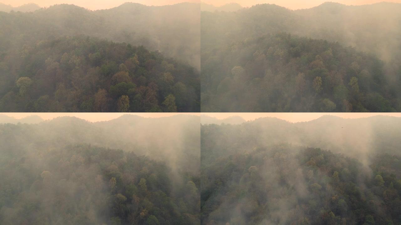 干旱林野火烟雾的鸟瞰图