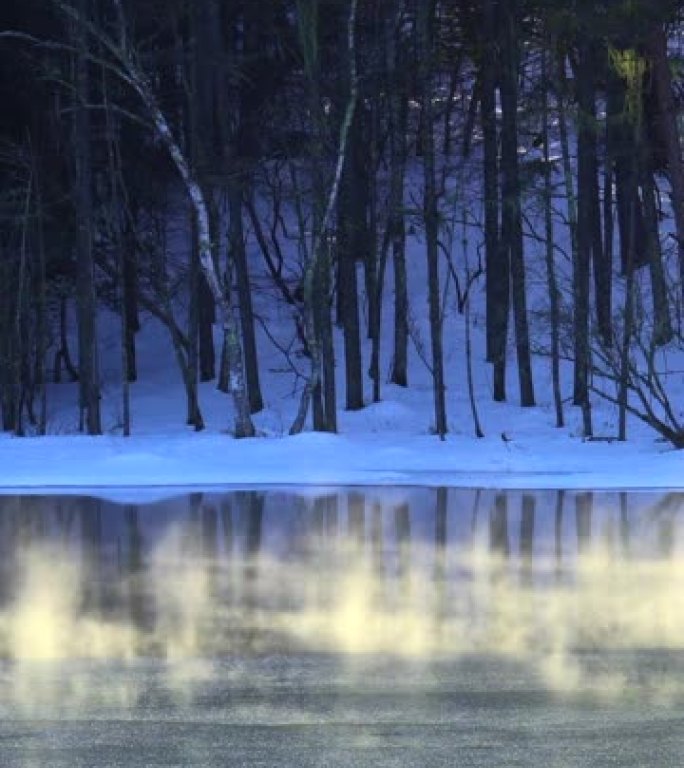 冬天的早晨，米沙卡池塘。湖冰雾在早晨的阳光下发光