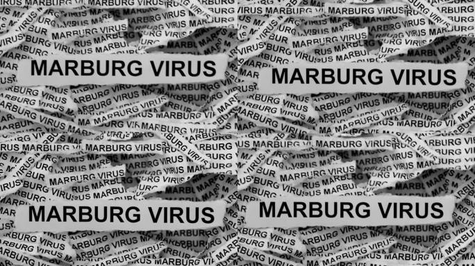 带有马尔堡病毒字样的报纸。黑白相间。