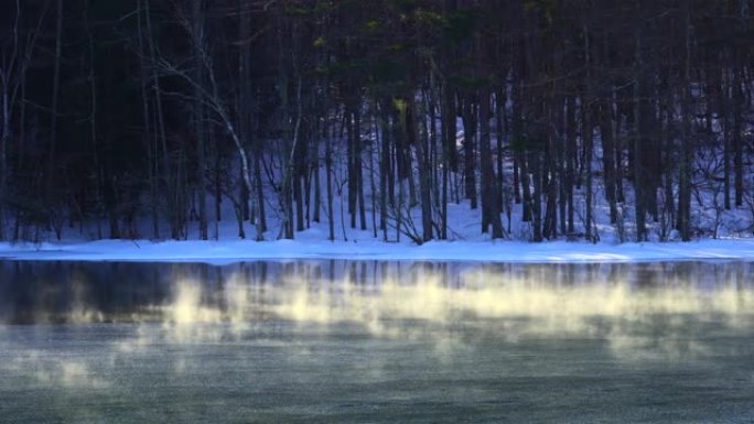 冬天的早晨，米沙卡池塘。湖冰雾在早晨的阳光下发光