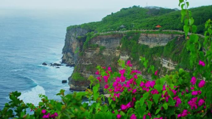 乌鲁瓦图岩石海滩，巴厘岛上有巨大的悬崖深渊和无尽的海洋地平线。巴厘岛海水海岸线。五颜六色的粉色花朵。