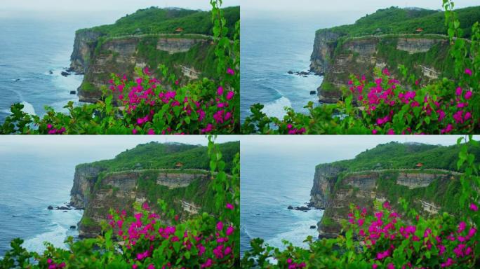 乌鲁瓦图岩石海滩，巴厘岛上有巨大的悬崖深渊和无尽的海洋地平线。巴厘岛海水海岸线。五颜六色的粉色花朵。