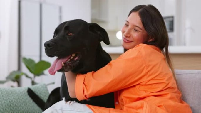 女人在沙发上抚摸狗，在客厅里一起玩耍，在家与宠物的乐趣和幸福的友谊。朋友，与宠物和幸福在一起的时间，