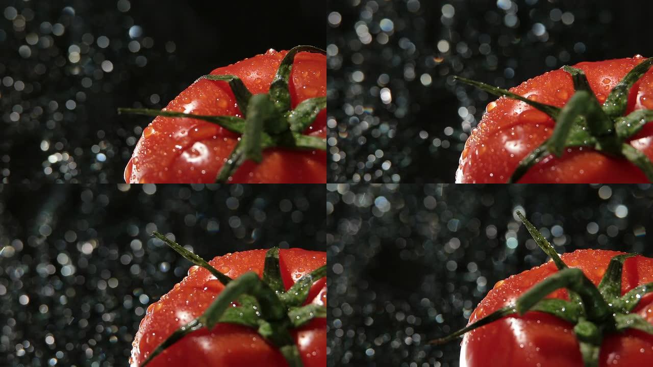 深色背景旋转转盘上的新鲜红番茄