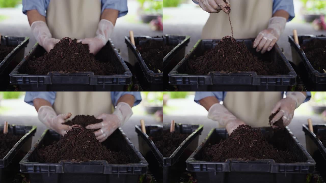 通过从大自然中制造腐殖质堆肥堆肥土壤来养殖蚯蚓。