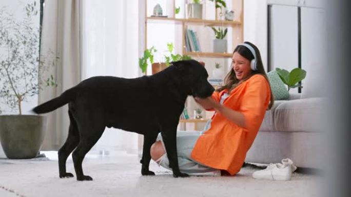耳机、狗玩耍和客厅里的女人从家里的宠物护理中感受到小狗的爱。房屋，动物和年轻女性在拉布拉多的关注下享