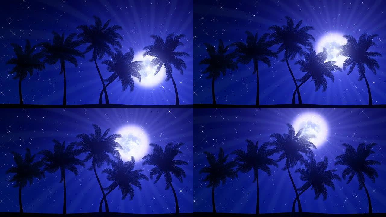 棕榈树与月亮和星星 (动画高清背景)