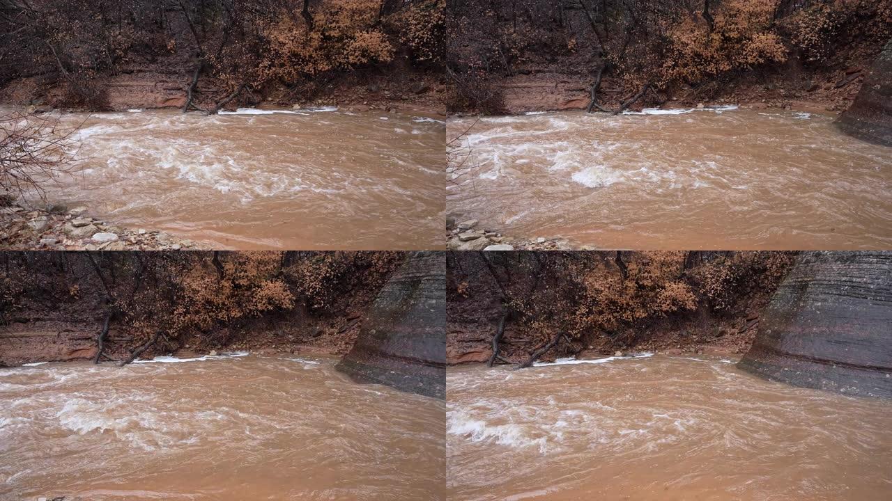 锡安国家公园大雨引起的浑浊洪水