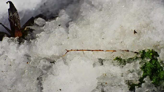 春季解冻积雪融化时间流逝