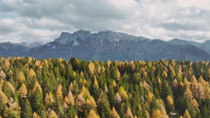 秋天欧洲阿尔卑斯山的鸟瞰图