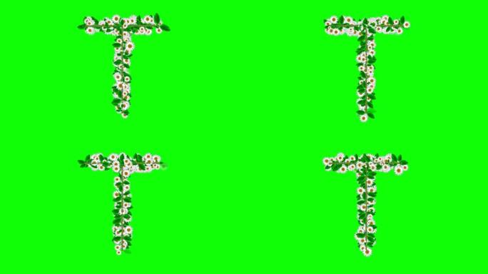 绿色屏幕背景上有雏菊花的英语字母T