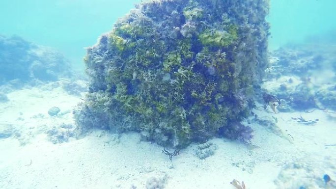 水下到珊瑚岩