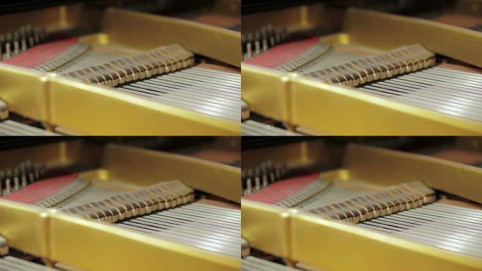 大钢琴内部机制: 演奏音乐、弦乐、木材、音乐会音乐家
