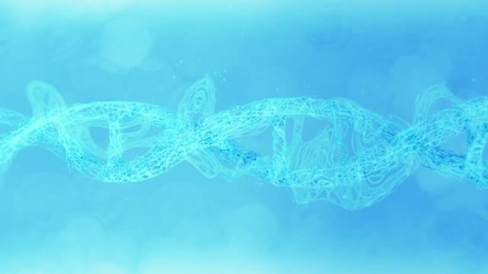 DNA分子结构遗传物质生命密码人体核心