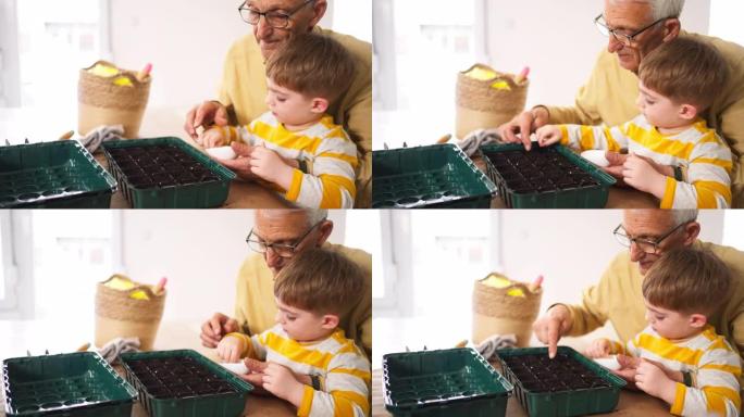 孙子和祖父用堆肥将蔬菜种子种植到小锅中