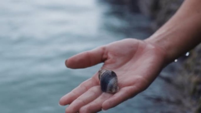 关闭女人的手拿着贝壳从海水中取出贝壳